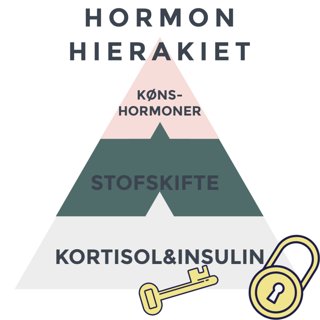 Pyramide i 3 lag med hormonernes balance